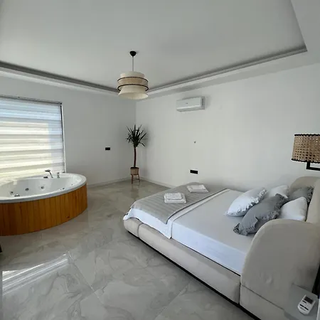 Twin House Villa *